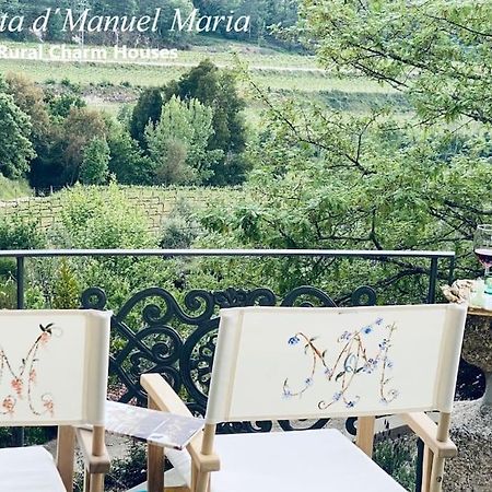 Amarante-Quinta D'Manuel Maria, Rural Charm Houses Kültér fotó