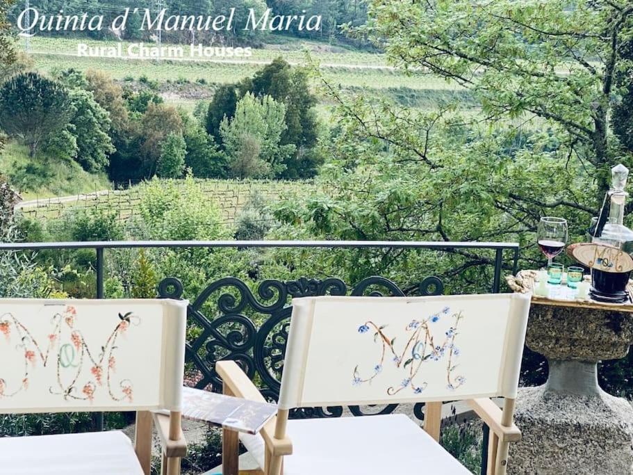 Amarante-Quinta D'Manuel Maria, Rural Charm Houses Kültér fotó
