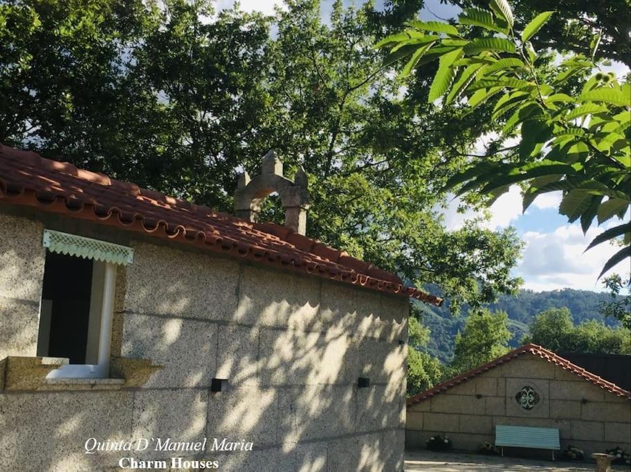 Amarante-Quinta D'Manuel Maria, Rural Charm Houses Kültér fotó